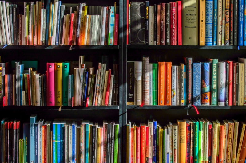 vente-TOURVES-min_books_bookstore_book_reading_shop_writer_sale_books_read-822866